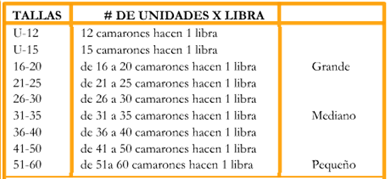 Camarón Crudo U/8