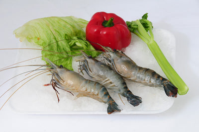 Langostino Grande